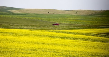 As rates fall, Saskatchewan shows public car insurance can work